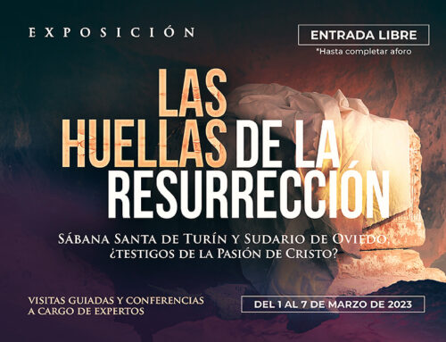 ANUNCIO_WEB_OK